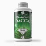 Diamond Yacca Doctor Sova® 280 tobolek